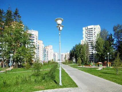 Зеленый парк зеленоград