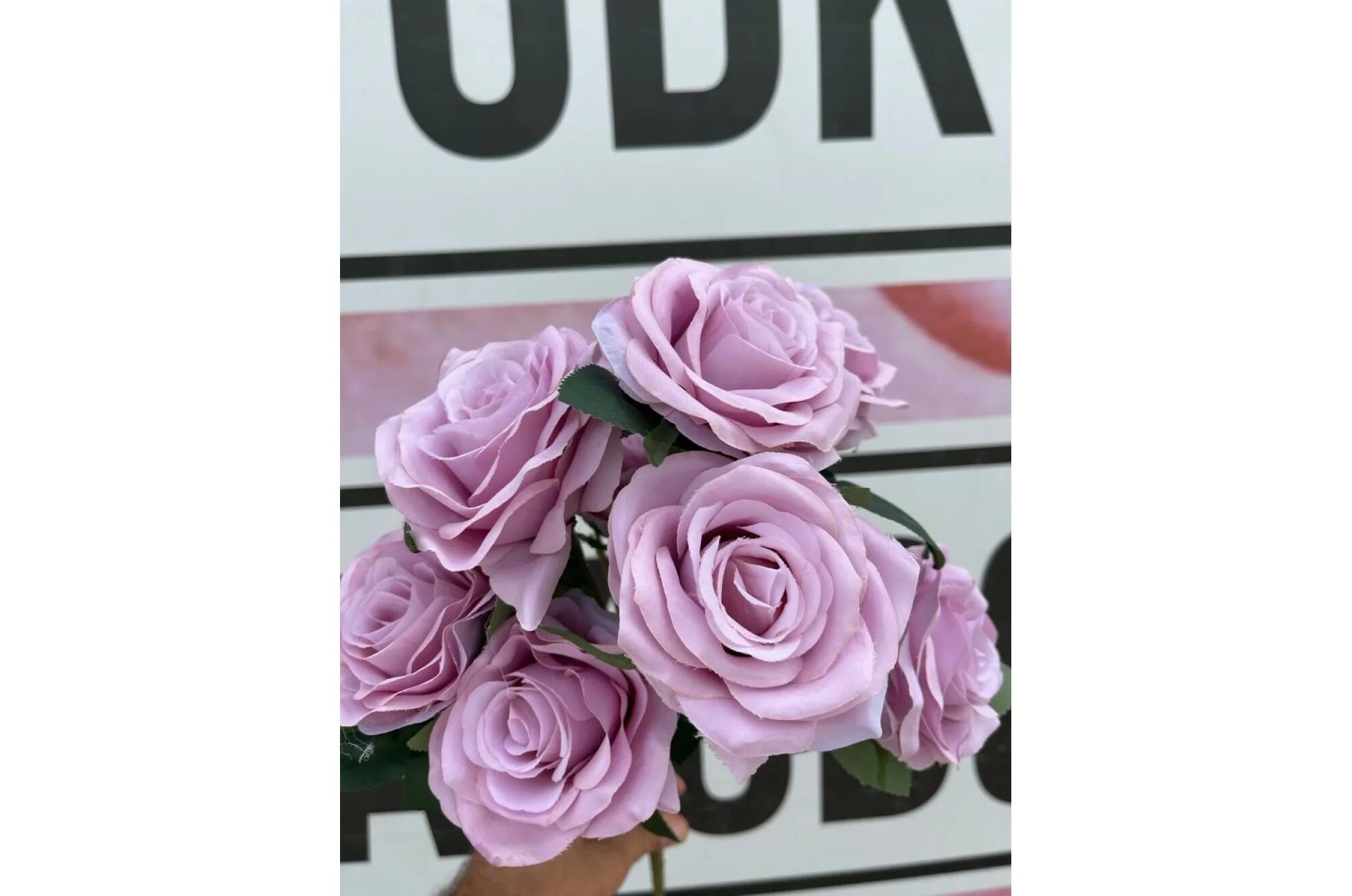 Rose 10. 10 роз. искусственный цветок надпись логотип. x rose под. галиева роза 10.11 березовский.