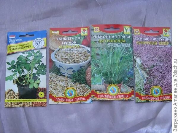 семена добра. семечки добрые. фирма добрые семена. добрые семена. семена гавриш семена от автора томат f1 семко-синбад 12 шт.