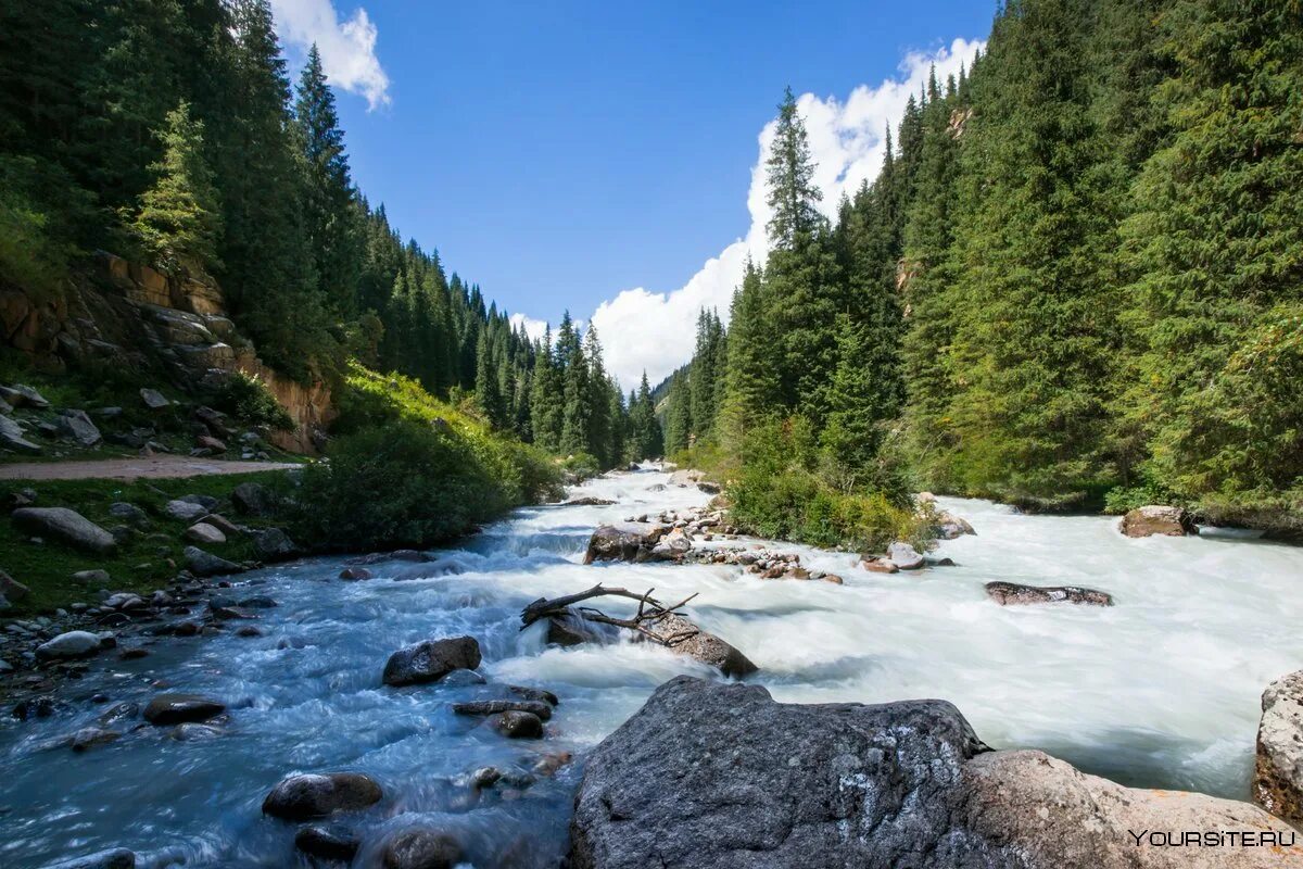 Маленькие горные речки. АК-Суу Киргизия. Ущелье реки АК Суу. Ущелье АК Суу Киргизия. Григорьевское ущелье Иссык-Куль.