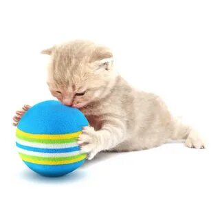 Кошачий мячик