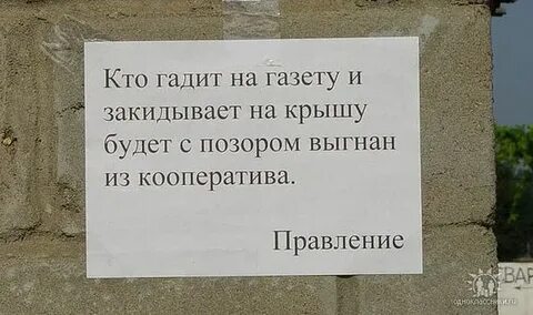 Как не быть позором
