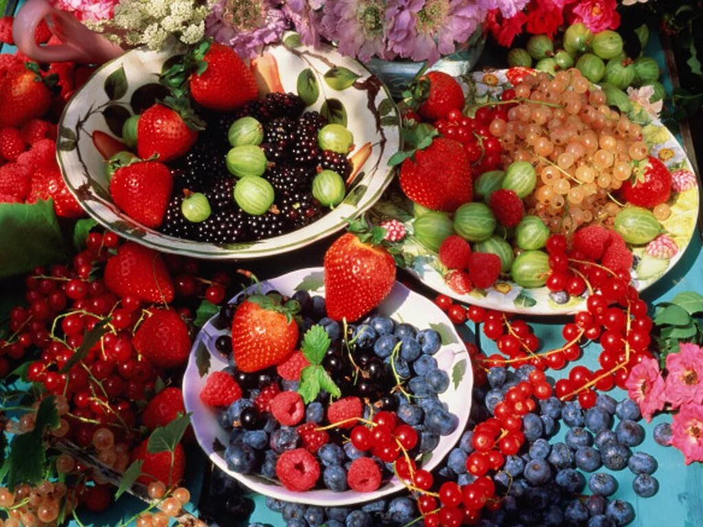 3 фрукта лета. Летние фрукты и ягоды. Лето фрукты ягоды. Угощайтесь ягоды и фрукты. Изобилие ягод.