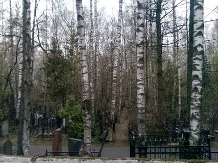 Автобус до востряковского кладбища