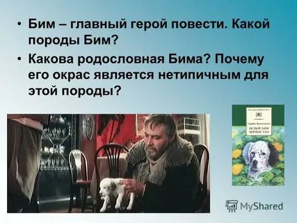 Бим главный герой