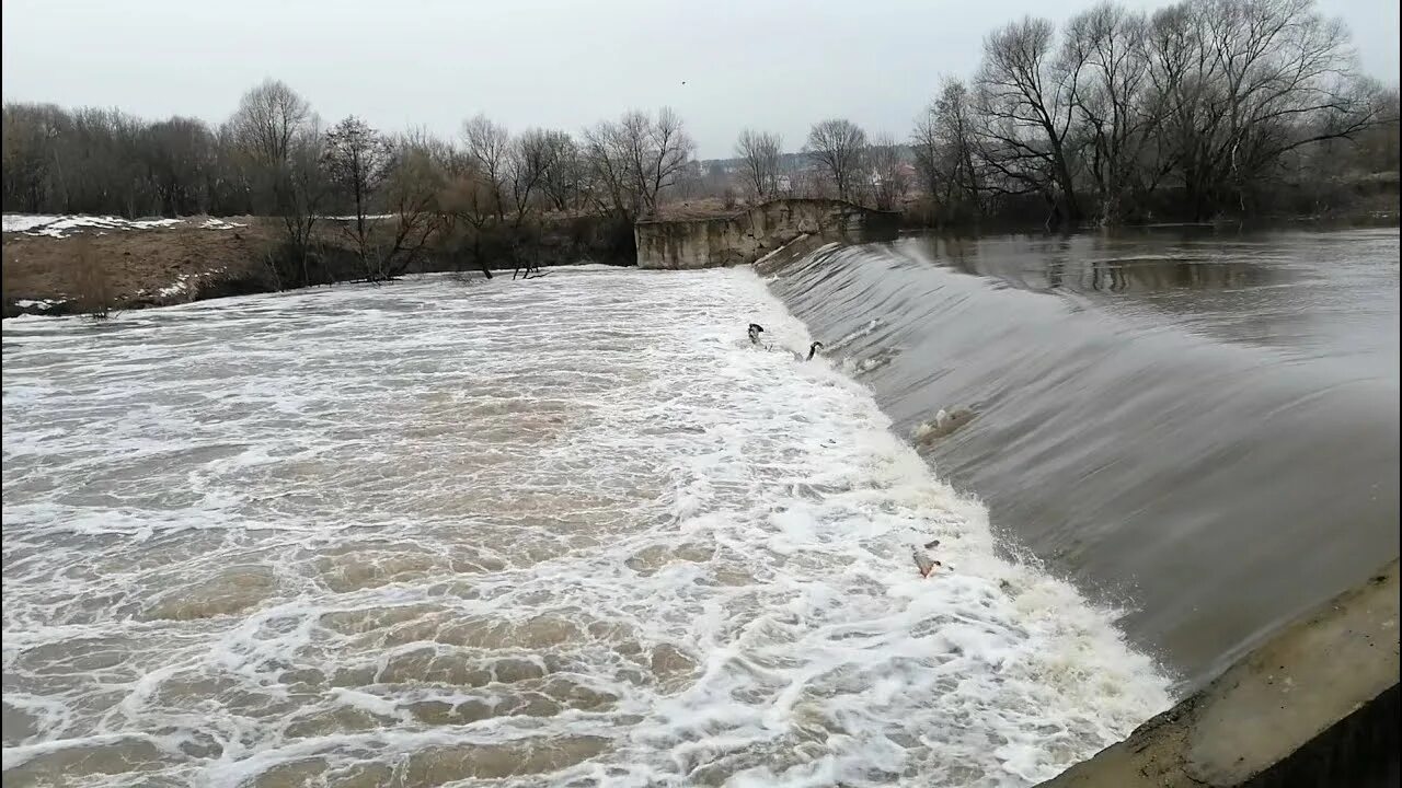 Подъем воды в серпухове. Плотина на Наре в Серпухове. Река Нара Серпухов. Плотина Серпухов 2022. Разлив Оки 2022 Серпухов.