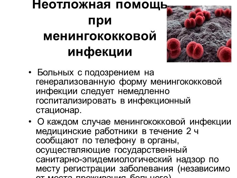 Менингококковые инфекции группы. Алгоритм действий при менингококковой инфекции. Генерализованные формы менингококковой инфекции. Эпидемиологический процесс при менингококковой инфекции.