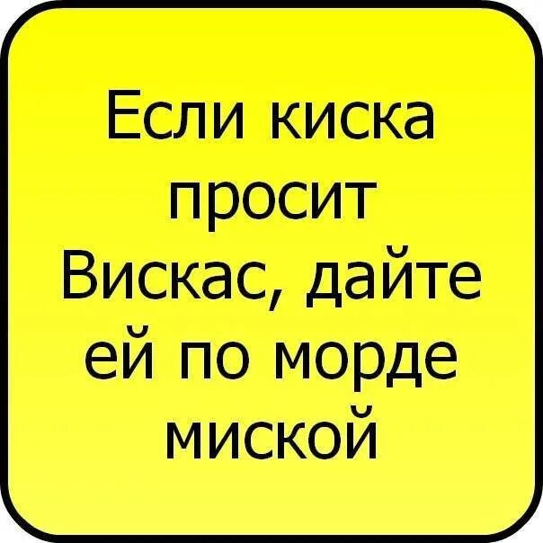 Сделать красивый статус. Смешные статусы в вк. прикольные статусы в вк. смешные статутсы для ве. классные статусы в вк.
