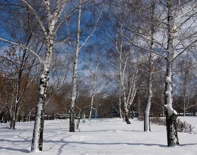 Апрель самара