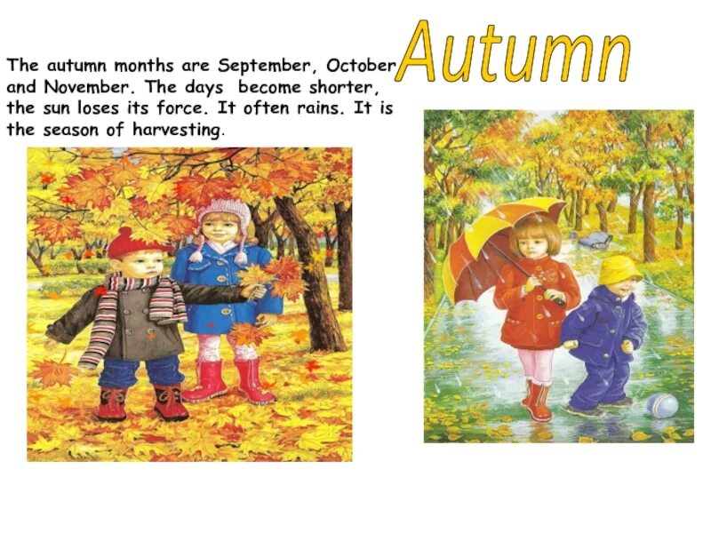 In autumn it is often. Autumn months are. Autumn months are September, October and November.. Autumn months картинки. September is the autumn month.