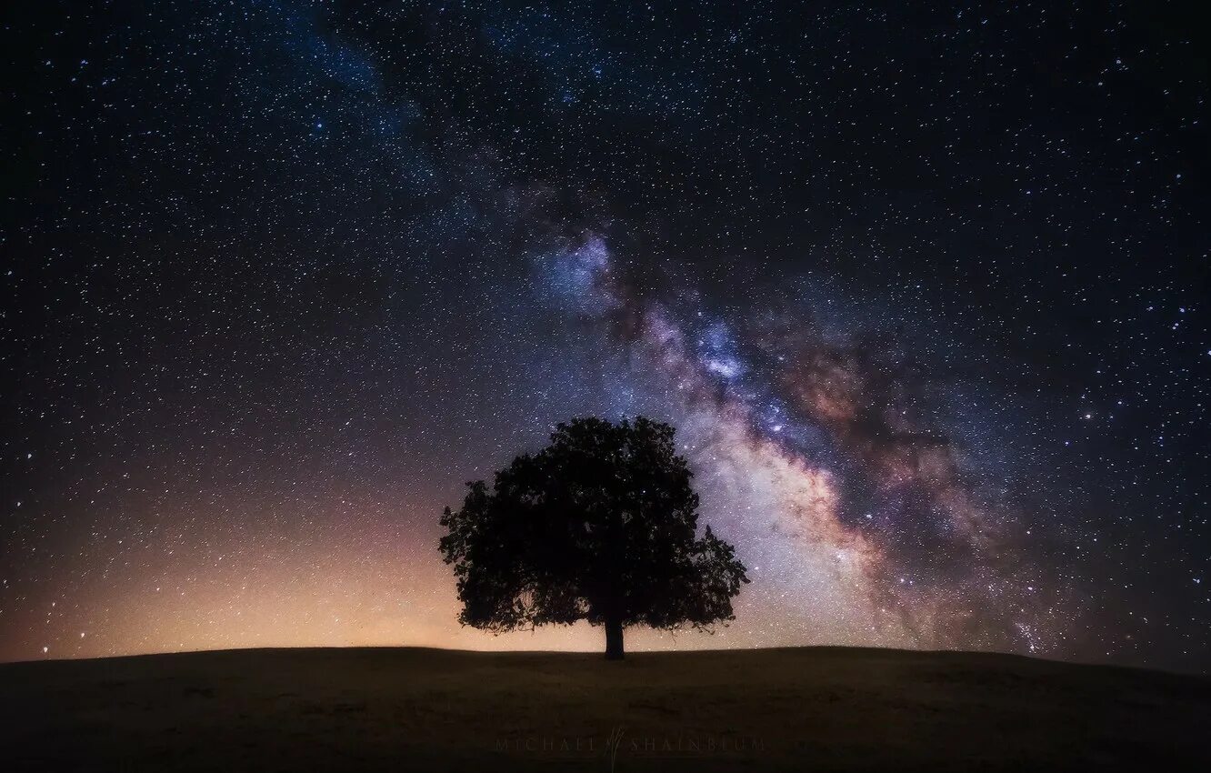 Дерево небо звезды. Млечный путь milky way. млечный путь 2к. ночное небо с земли. ночное небо со звездами.