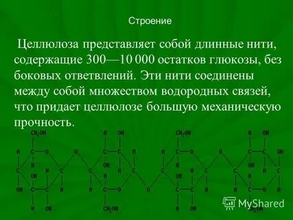 Целлюлоза это белок