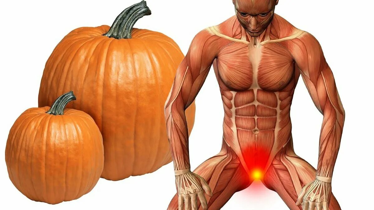 Тыква польза для мужчин для здоровья. Тыква польза для мужчин для здоровья. Тыква польза для мужчин для здоровья. Полезные вещества в тыкве. Тыквенное масло полезные свойства для женщин.