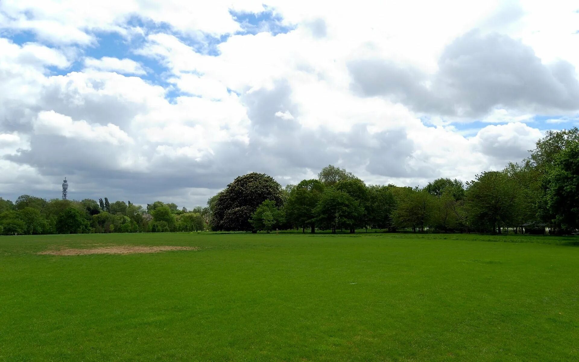 Random fields