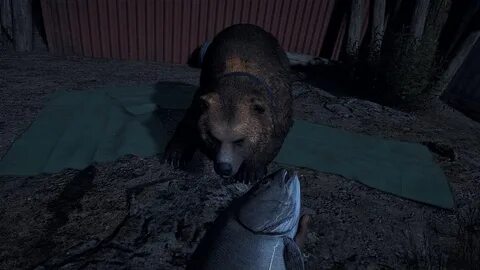 Медведь far cry