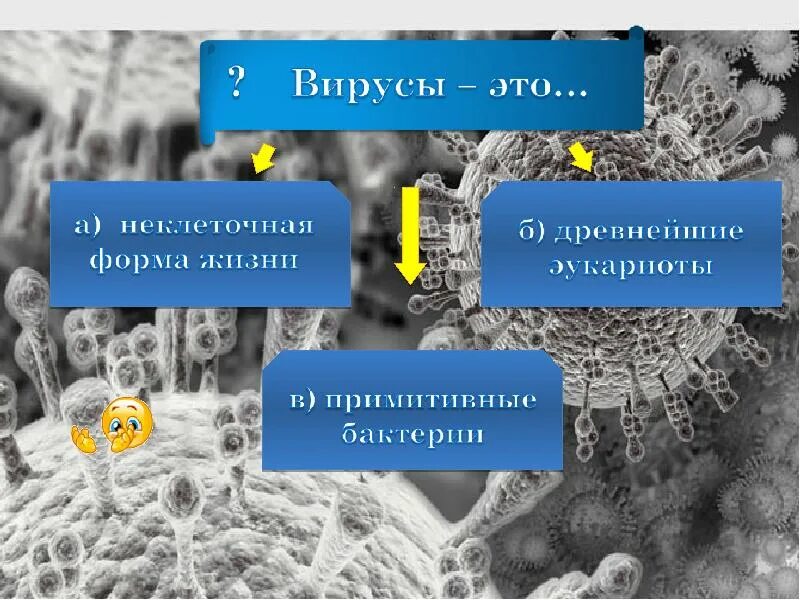 3 неклеточная форма жизни. Вирусы неклеточные формы жизни презентация. вирусы вне клетки хозяина. вирусы размножаются в клетках хозяина самостоятельно. вирусы размножаются самостоятельно вне клетки.