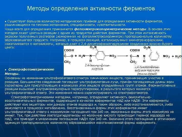 Лабораторная работа "Пищеварительные ферменты" Physiology SGU