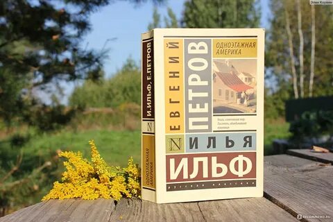 Одноэтажная америка книга