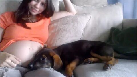 Webcam dog