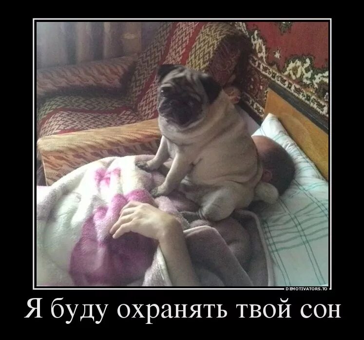 Есть кому охранять