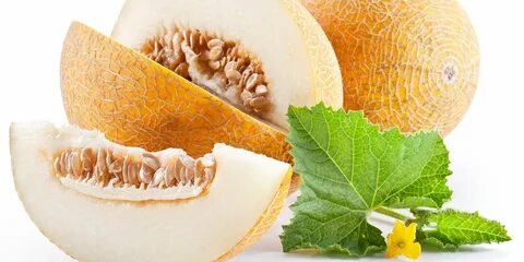 Картинка дыня для детей