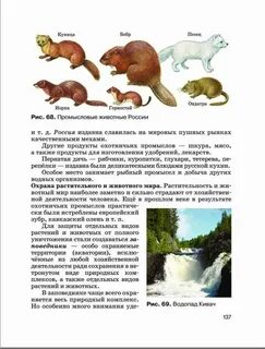Учебник по географии 8 класс читать баринова