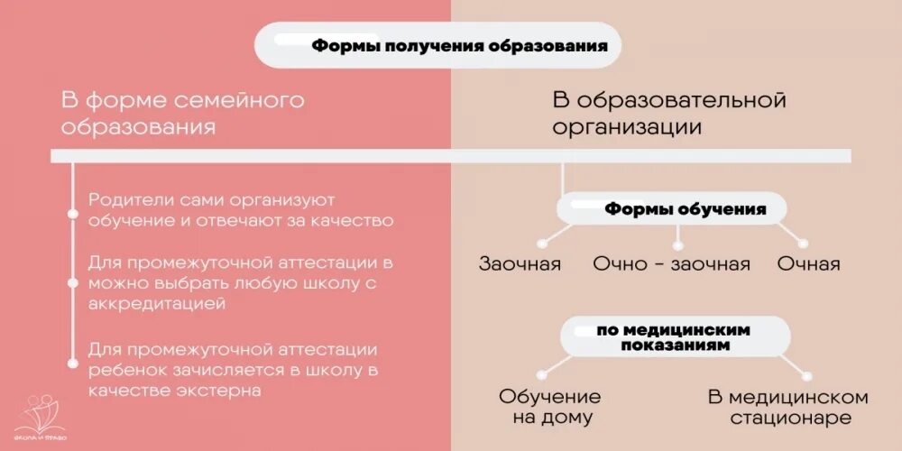 Виды домашнего образования