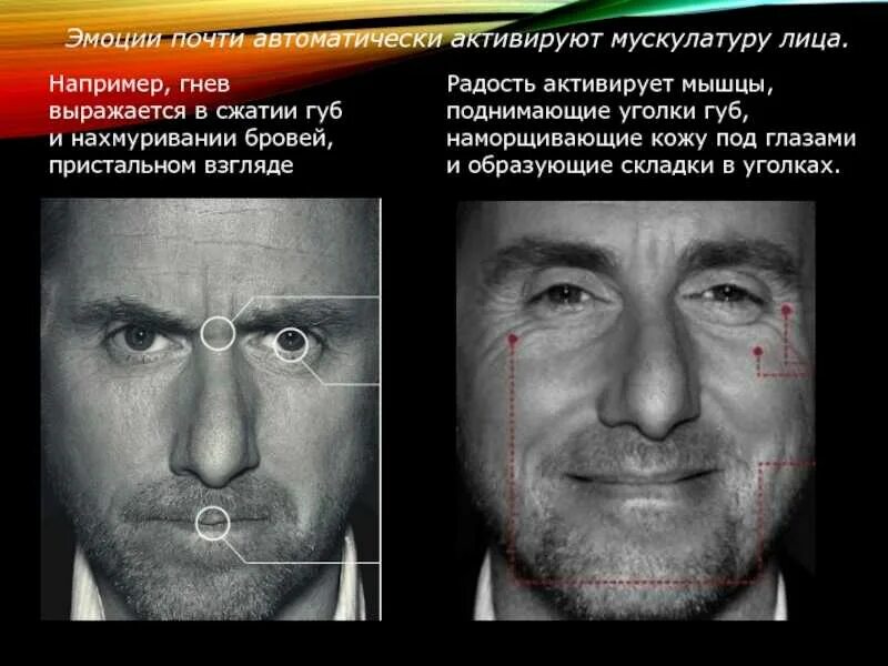 Как узнать обманывает человек