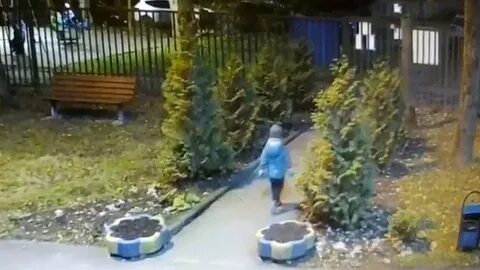 Пропали сад