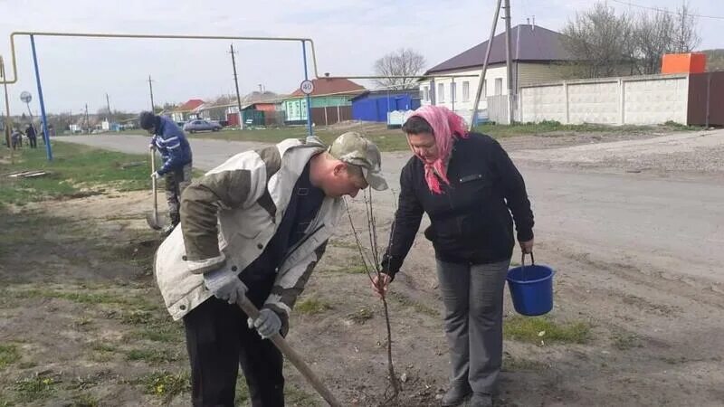 Погода село новомихайловское красногвардейского района. Село Ливенка Красногвардейского района Белгородской области. Валуйки Ливенка. Семилукский район д Ливенка. Село элита.