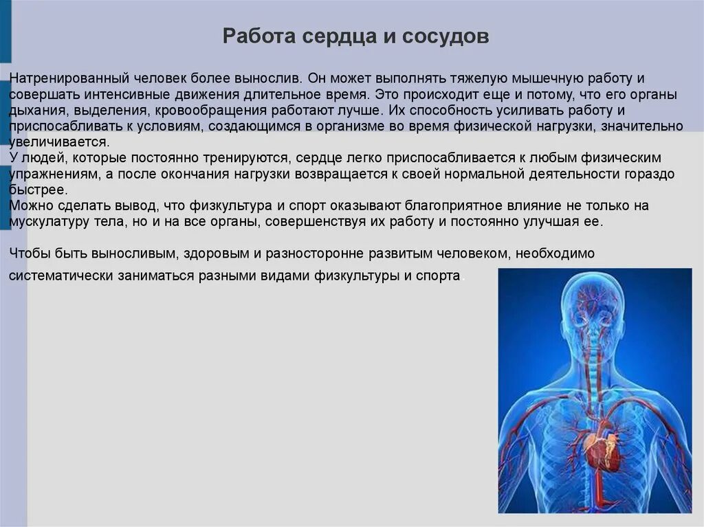 Работа организма. Работа нашего организма. Почему во время физической нагрузки работа сердца усиливается. Зоны состояния организма во время физнагрузок.