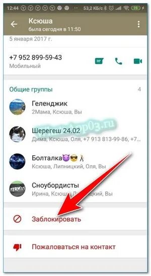 Как запретить голосовые сообщения в WHATSAPP. Как заблокировать голосовые сообщения. Как отключить звонки в ватсапе. Как в вацапе отключить звонки. Как в ватсапе убрать голосовой