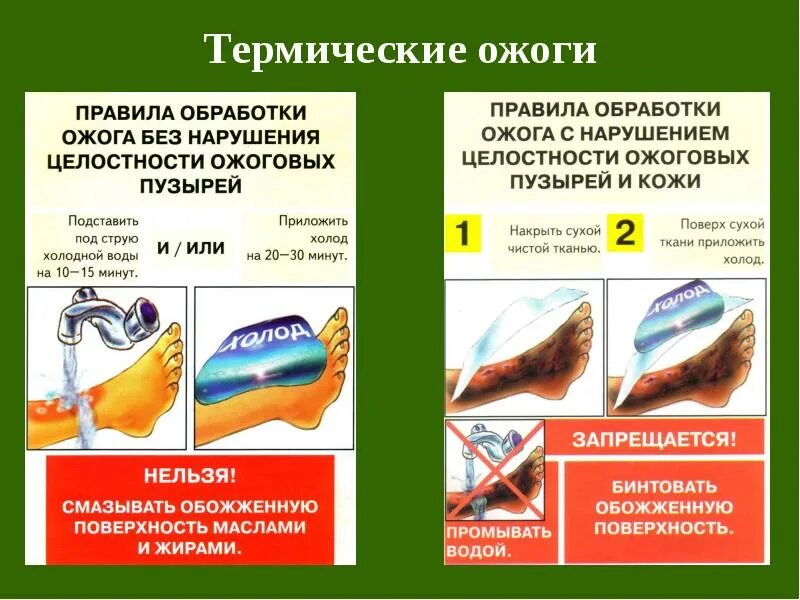 Как оказать первую помощь при термическом ожоге. Термический ожог первая помощь. порядок обработки ожогов.