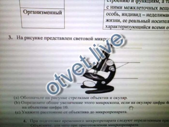 Сочи по естествознанию 5 класс 2 четверть. Все определения по естествознанию 5 класс. задачи по естествознанию 5 класс с решением. естествознание 5 класс 32 отвечать на вопросы. природоведение 5 класс задания 2 сраница1.