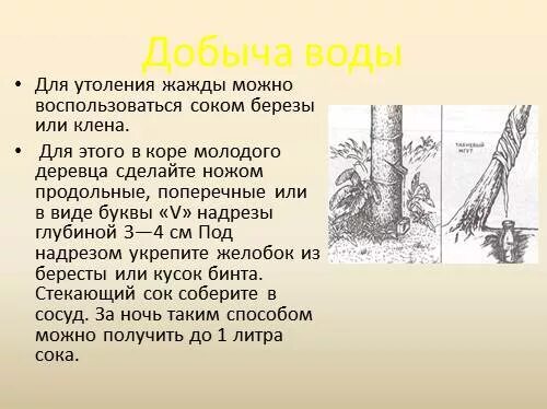 Способы добычи животных. Способы добывания воды. способы добывания воды и пищи. как добыть воду в природе. добыча воды в природных условиях.