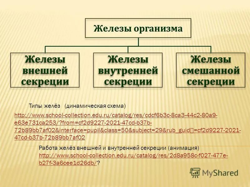 3 типа желез. классификация желез внутренней секреции схема. железы внутренней внешней и смешанной секреции таблица 8 класс. типы желез биология 8 класс. железы внешней секреции характеристика.