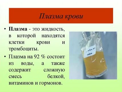 Биологическая плазма