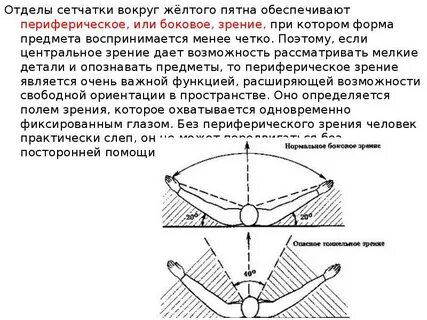 Центральное зрение это