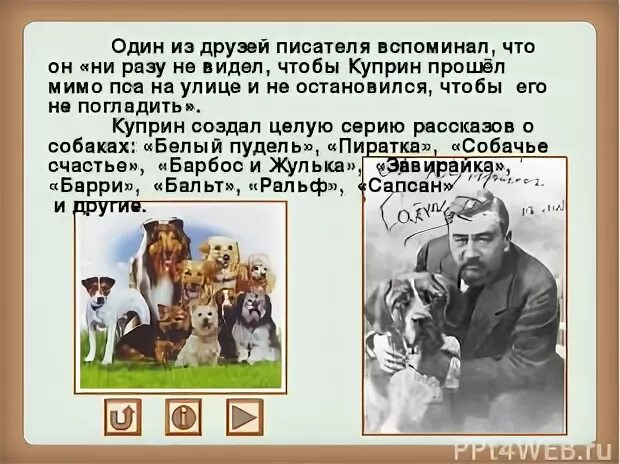 Рассказ куприна собачье счастье