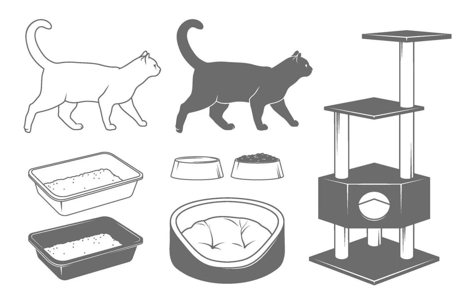 Cat set