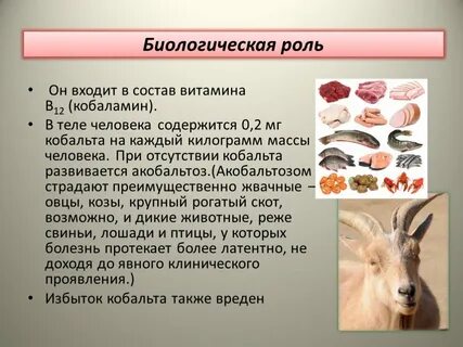 Роль кобальта в организме человека