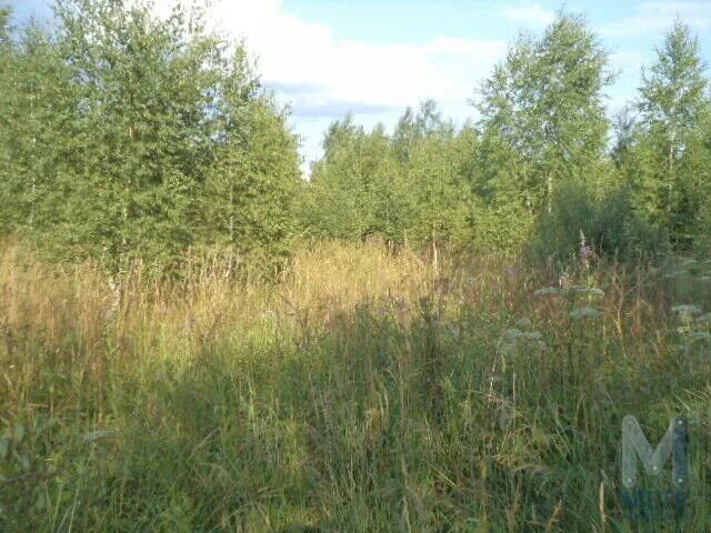 Дубровское. Деревня токарево ул старая 89/1. Земельный участок в мае в деревне дмитровский район. Снт думино дмитровский район. Участок деревня старо.