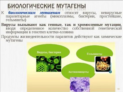 Биологические мутационные факторы