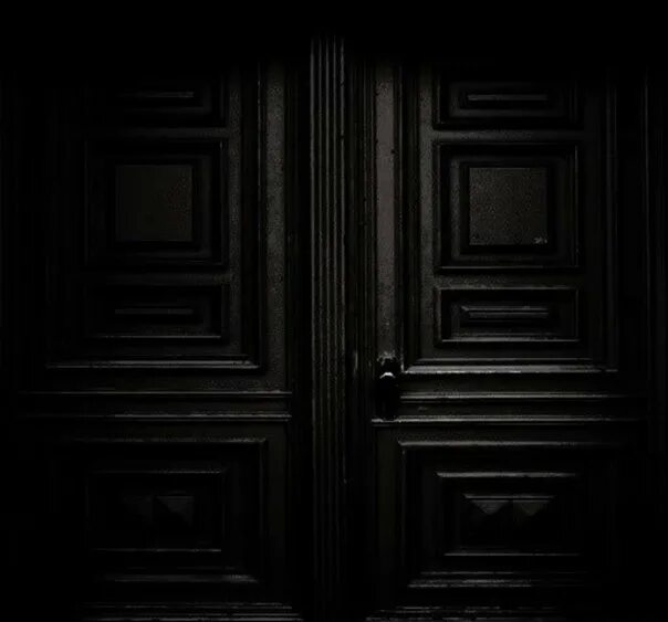 Черные межкомнатные двери. Двустворчатые двери волховец. Темная деревянная дверь. Дверь деревянная коричневая. Текстура входной двери.