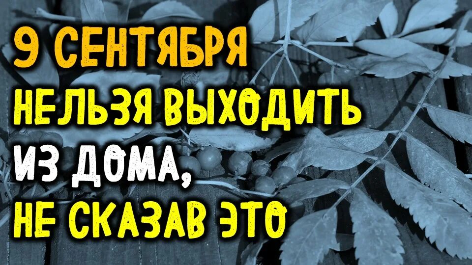 25 сентября что можно и нельзя делать. 25 сентября что можно и нельзя делать