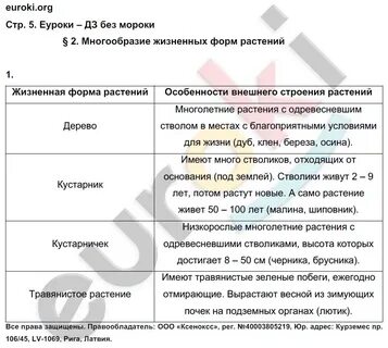 Биология 6 класс параграф 13 пономарева