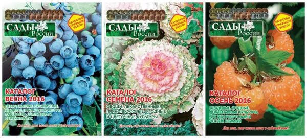 Семена: не верь яркой упаковке! www.sotki.ru Ваши 6 соток