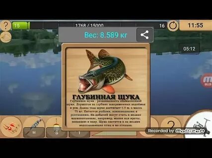 Лесная река реальная рыбалка на что ловить