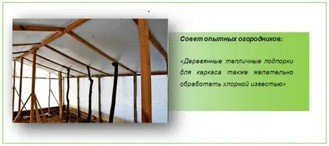 Раствор для обработки теплицы осенью