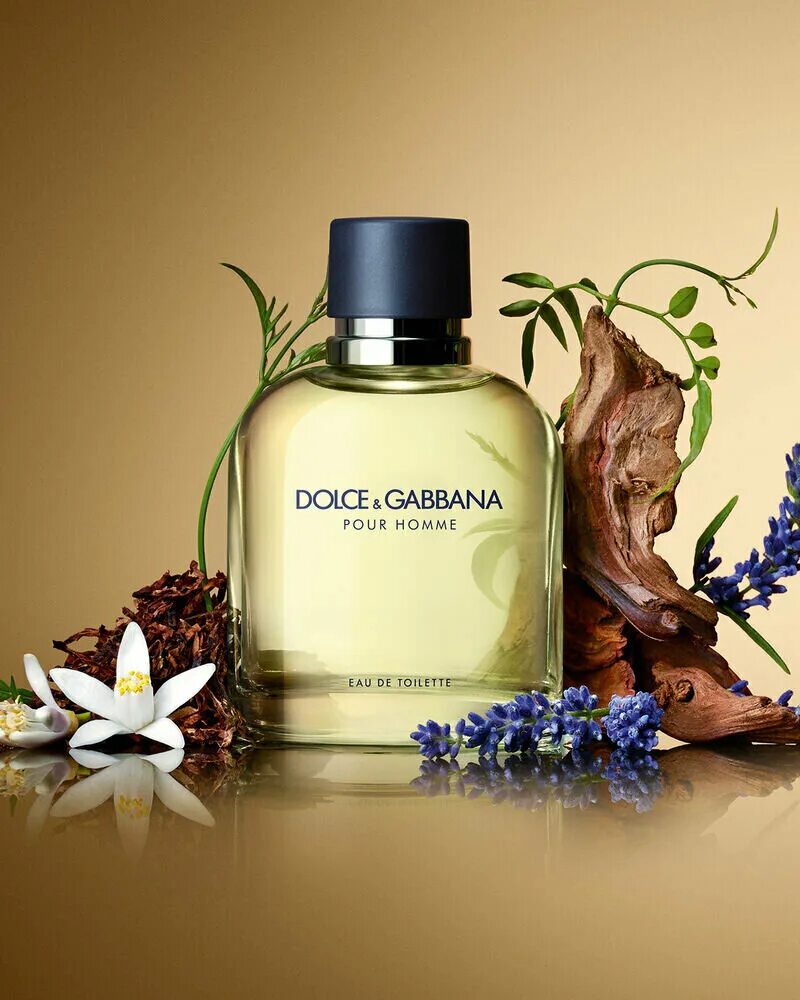 Дольче габбана pour. Dolce Gabbana pour homme. Dolce Gabbana pour homme 2012. Dolce Gabbana homme. D&G Dolce&Gabbana pour homme.